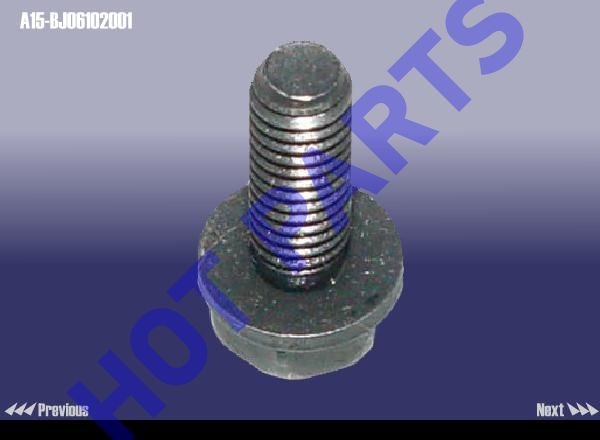 SCREW HEAD WITH GASKET