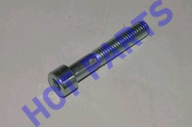 картинка HEXAGON LOBULAR SOCKET HEAD CAP SCREW  FQ218B0845F34E