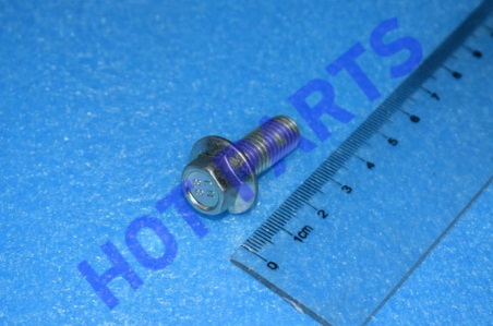 SIX HEXAGON FLANGE BOLT