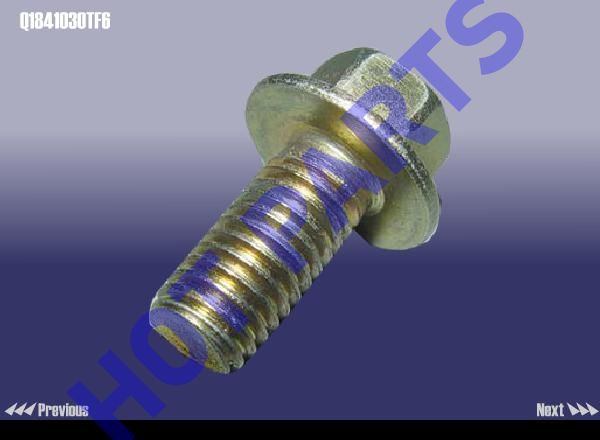 картинка BOLT  Q1841030TF6
